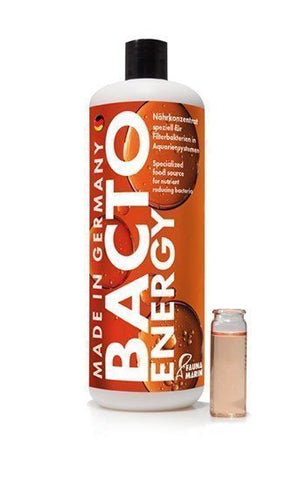 FM, BACTO ENERGY 250 ML.(ULTRA BAK)