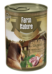 FN WDF GANSO CON BROCOLI Y ZANAHORIAS