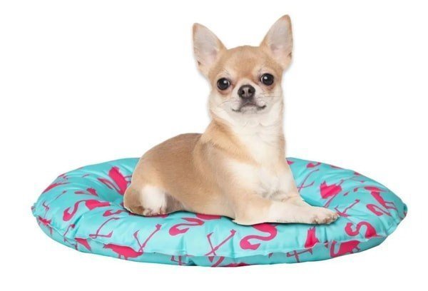 FREEDOG DONUT REFRESCANTE FLAMINGO 47CM