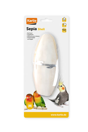 K&F SEPIA CONCHA EN TARJETA 16,5CM