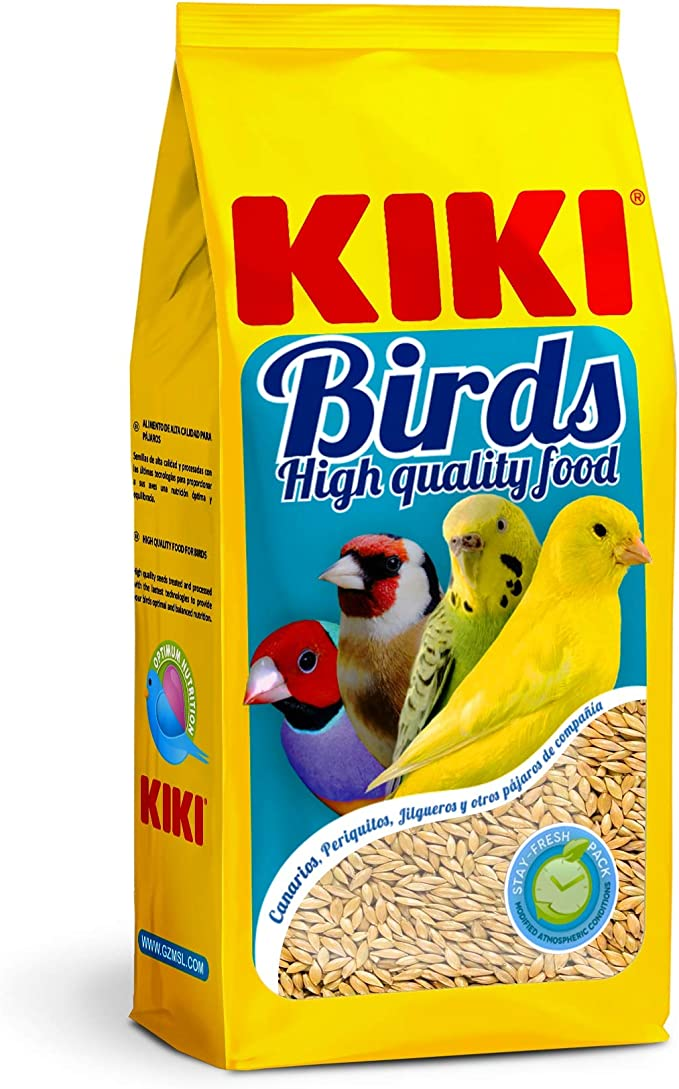 KIKI ALPISTE