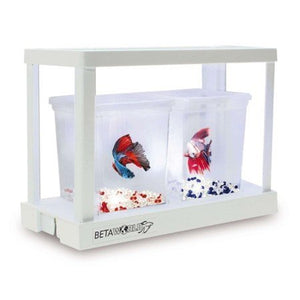 KIT BETAWORLD INICIACION