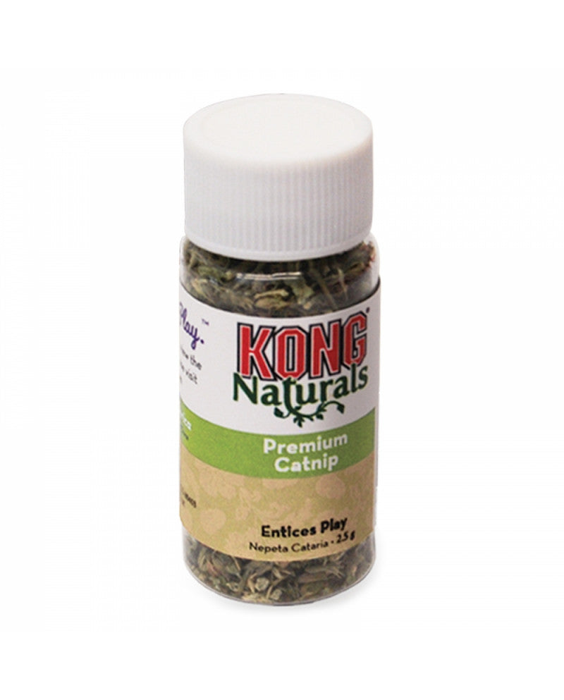 KONG CATNIP 2,5GR
