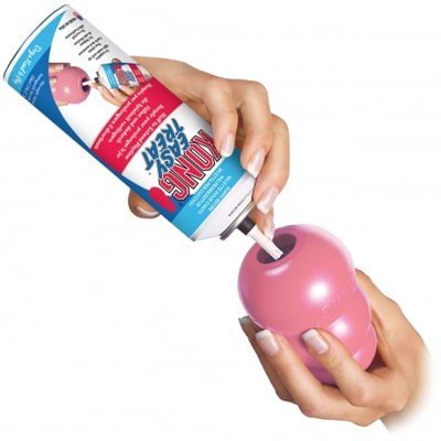 PASTA DENTAL KONG CACHORROS 295 GR