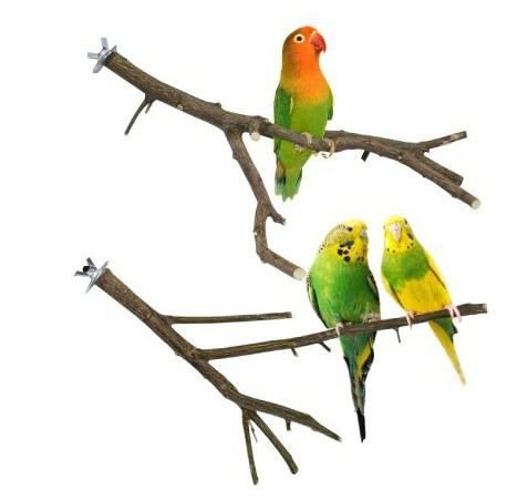 PERCHA DE NARANJO PEQUEÑA 20CM APROX.