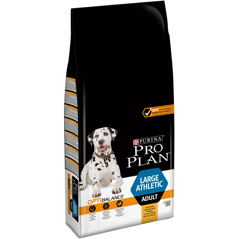 PP ADULT LARGE ATHLETIC