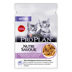 PP KITTEN GIG PAVO 85GR