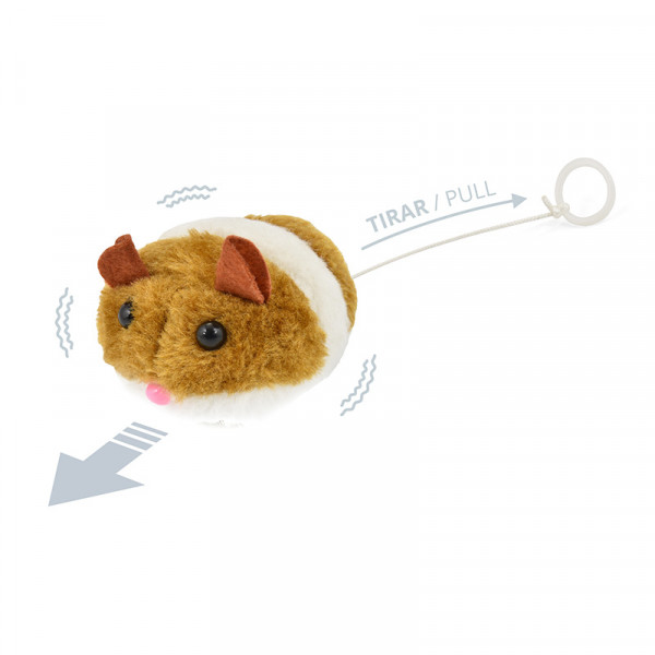 RATON SPEEDY