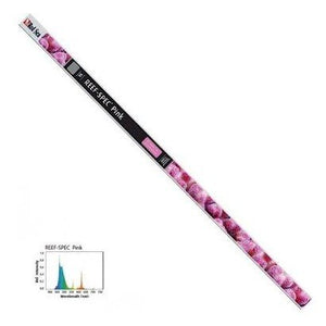 RED SEA T5 ROSA PURPURA 24W