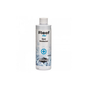 REEF DIP 250 ML