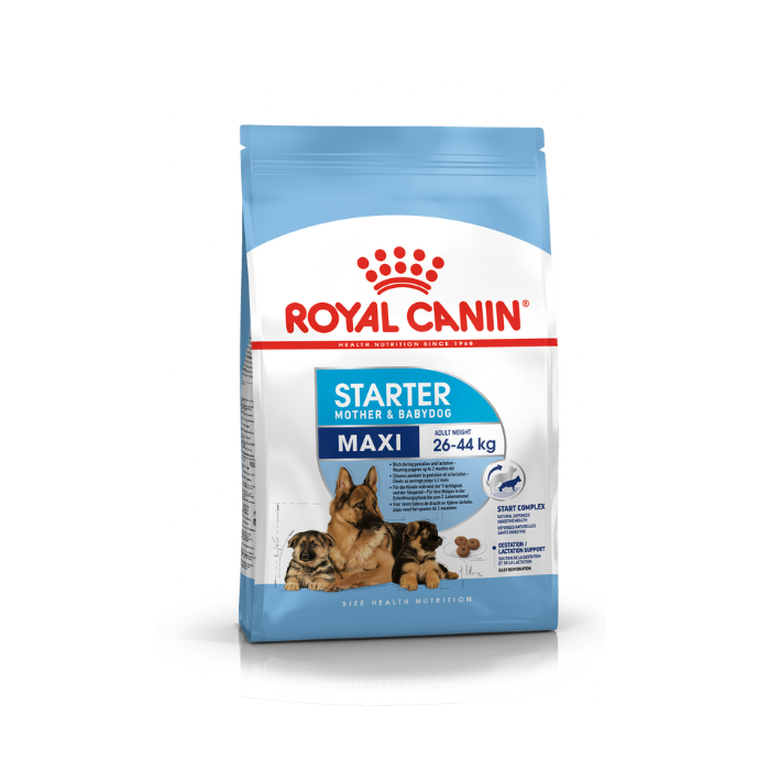 Royal Canin Maxi Starter M&B 4 kg