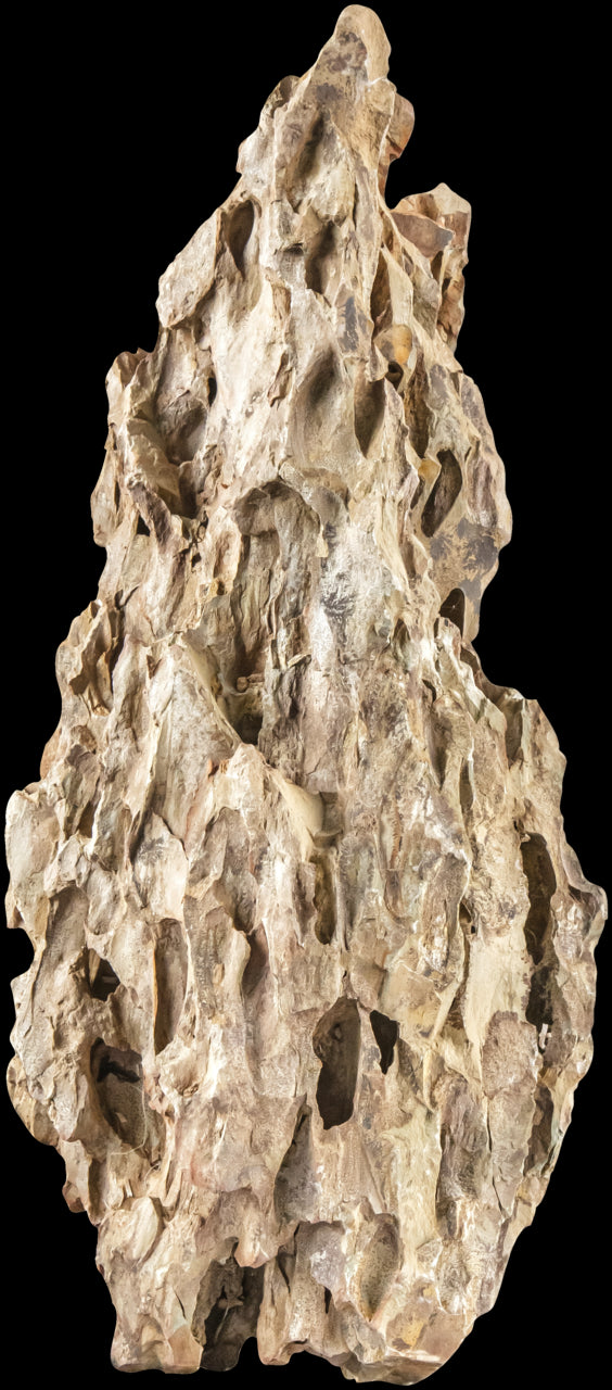 SERA ROCK DRAGON STONE S/M