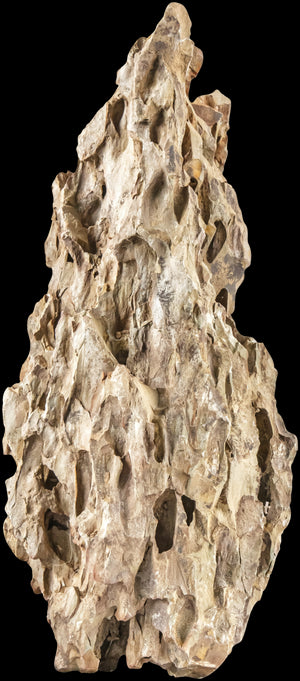 SERA ROCK DRAGON STONE S/M