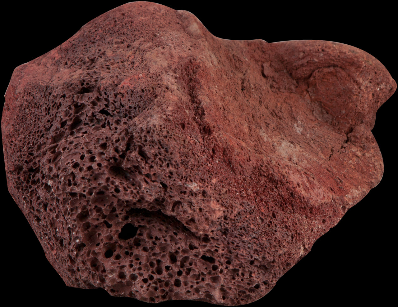 SERA ROCK RED LAVA L 16 - 23CM