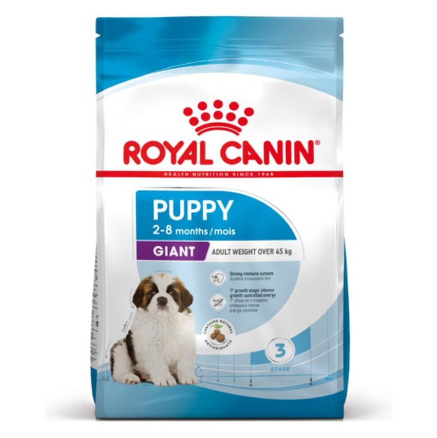 SHN GIANT PUPPY 15KG