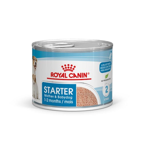 SHN WET STARTER MOUSSE 195GR