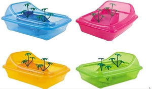 TORTUGUERA MADAGASCAR PEQUEÑA