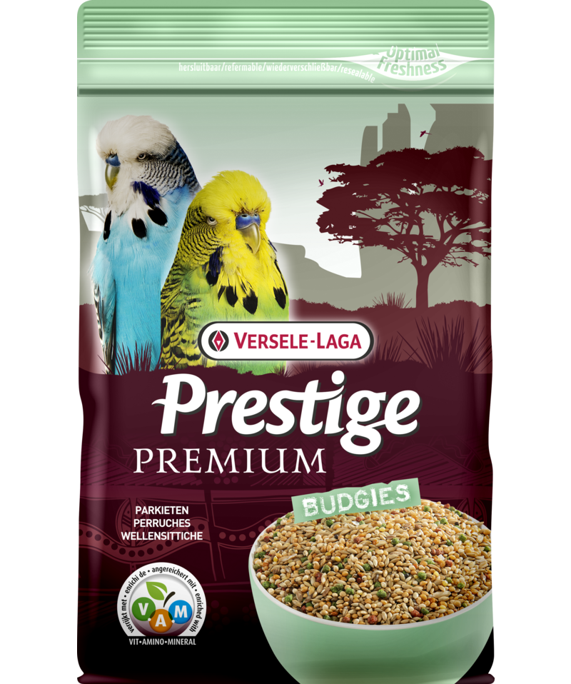 VERSE PERIQUITOS PREMIUM 800GR