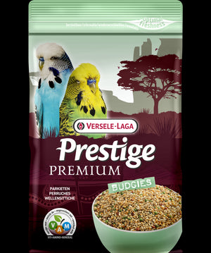 VERSE PERIQUITOS PREMIUM 800GR