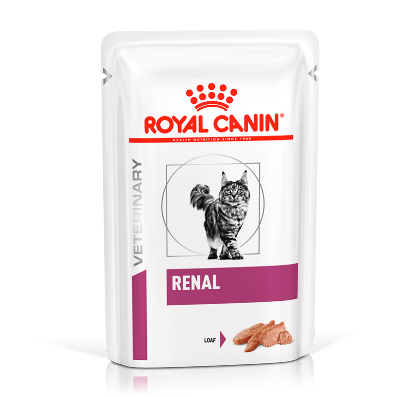 VHN CAT WET RENAL PATE POUCH 85GR